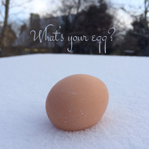 whatsyouregg