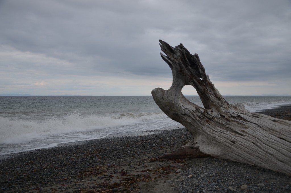 waves along the shore